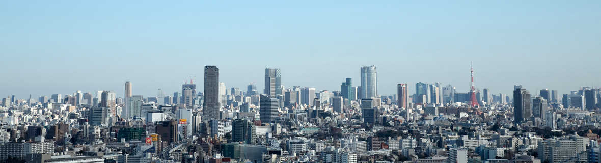 事業構造の変遷